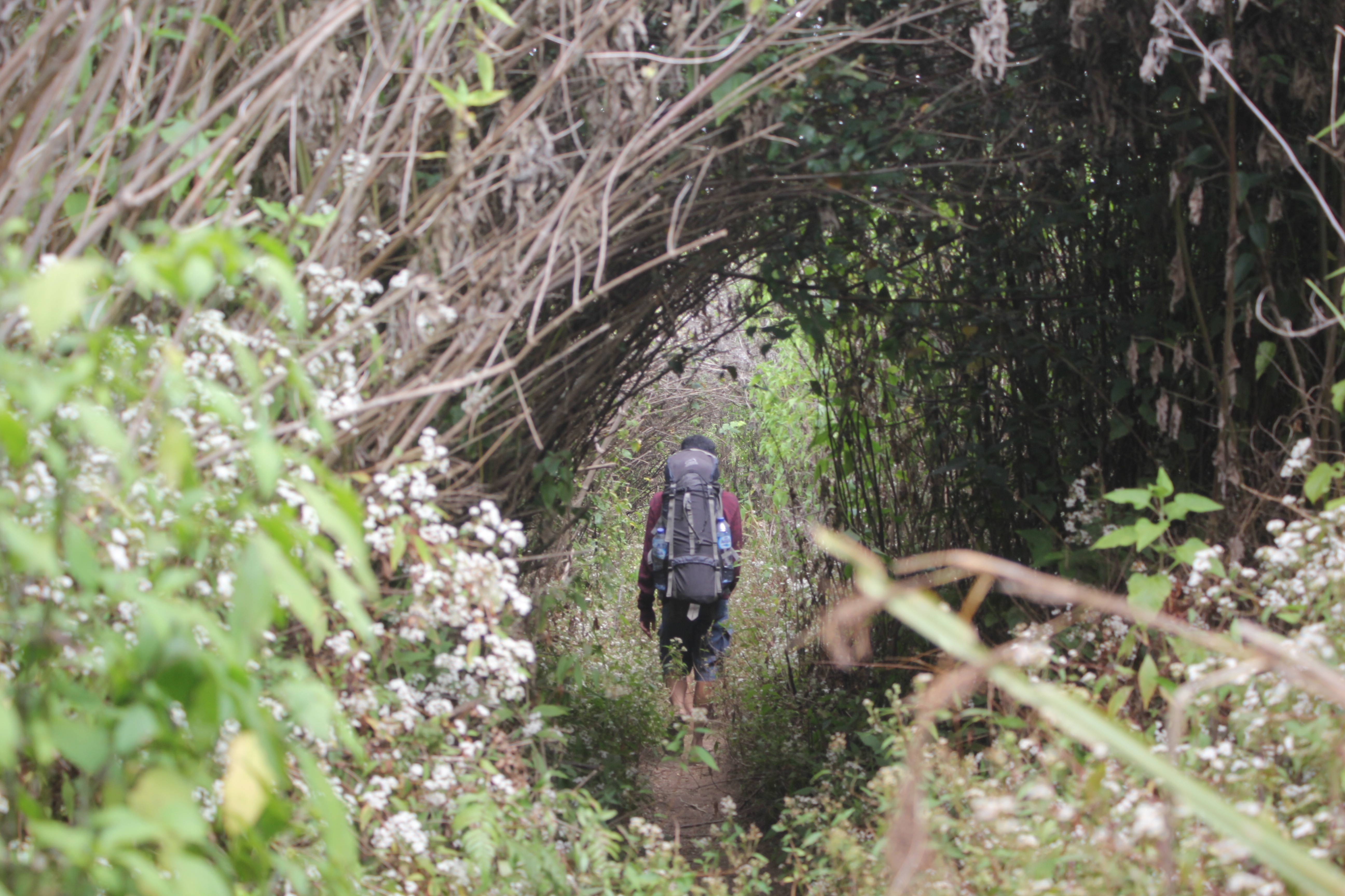 Mendaki Butak Malang  Via Panderman Gunung Underated yang 