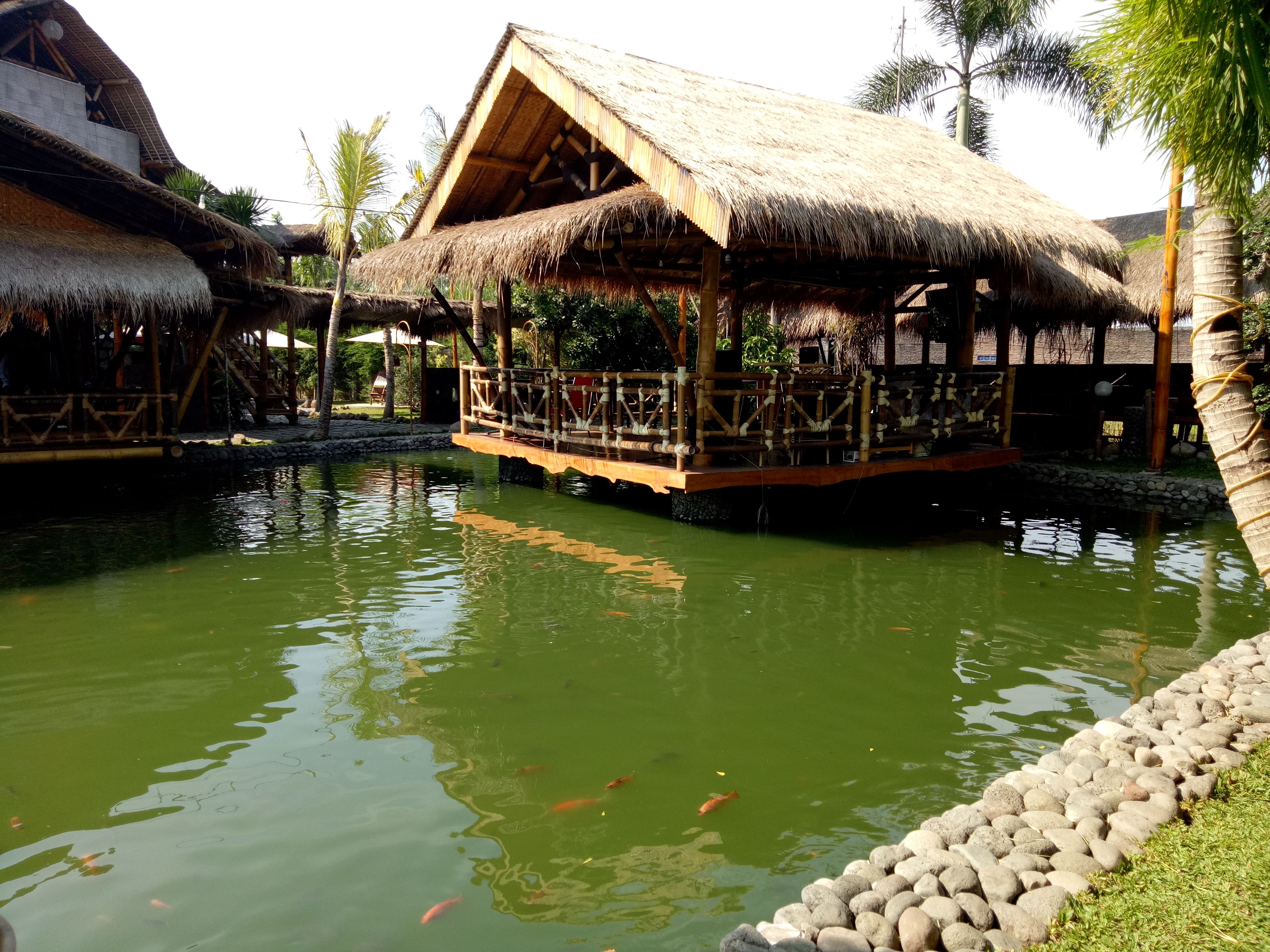 Gazebo Bambu Diatas Kolam Ikan InfoAkuakulturcom