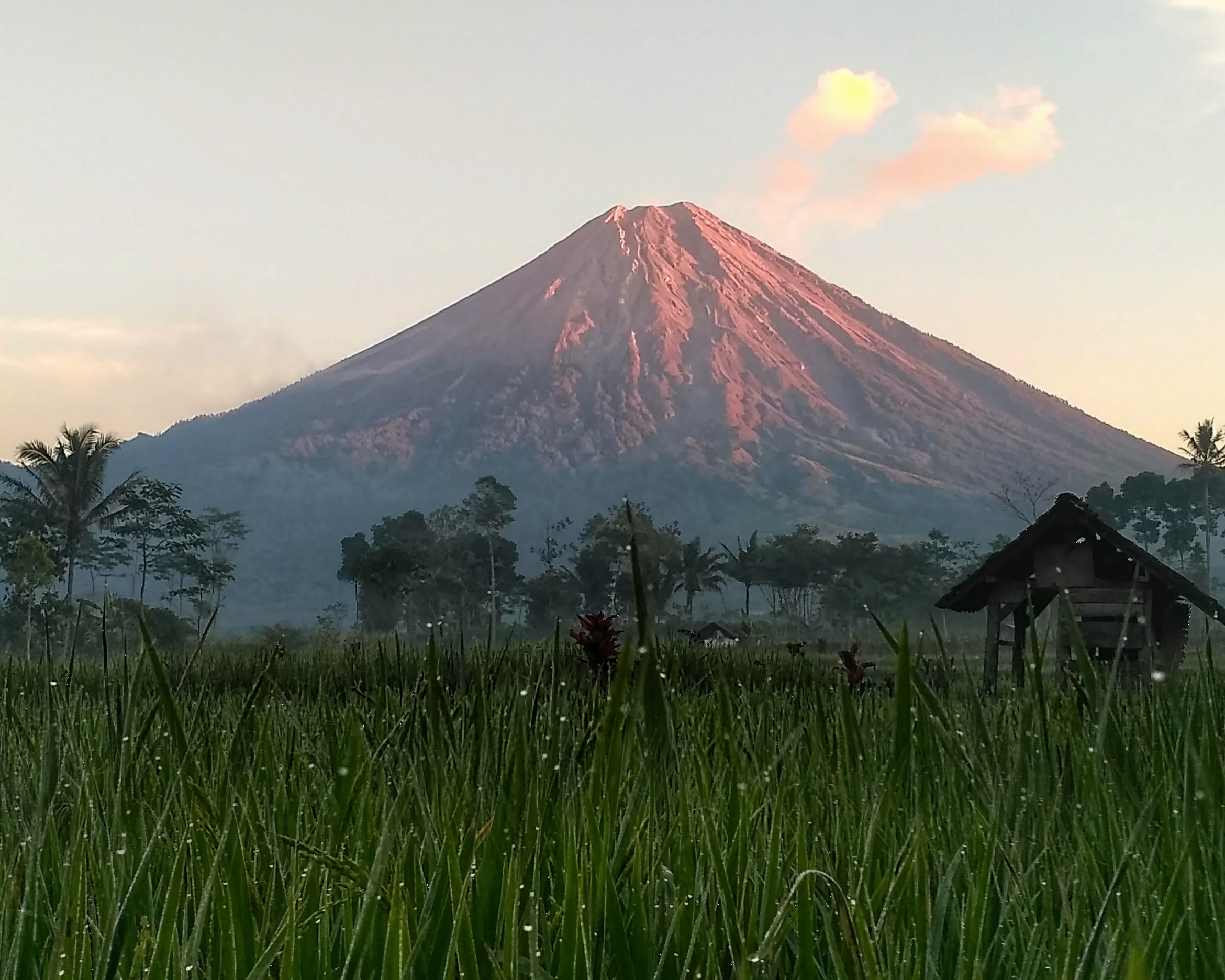 Menikmati gagahnya Gunung Semeru dari kejauhan (c) Welly Handoko/Travelingyuk