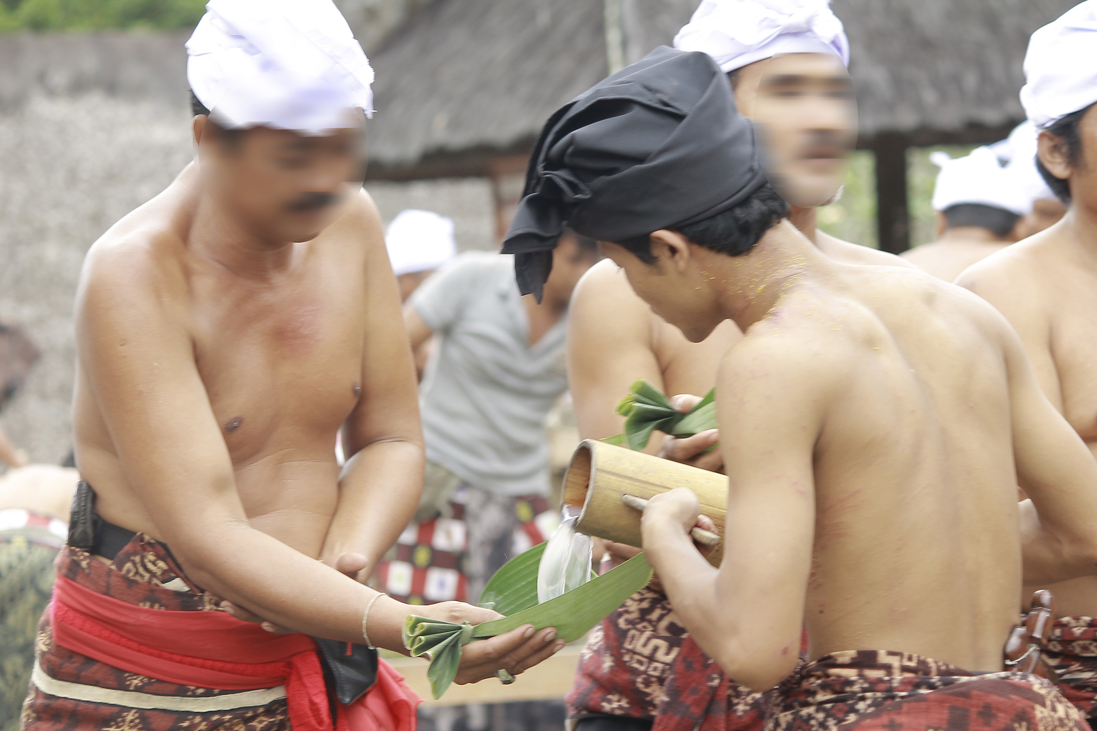 Tuak Bali Perang Pandan Desa Tenganan